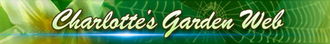 Charlotte's Garden Web Logo