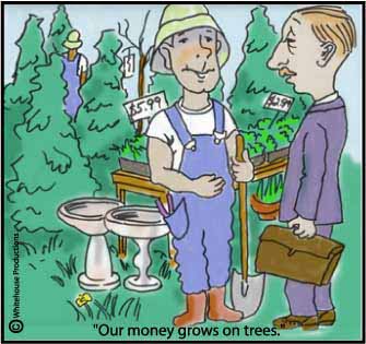 grows on trees